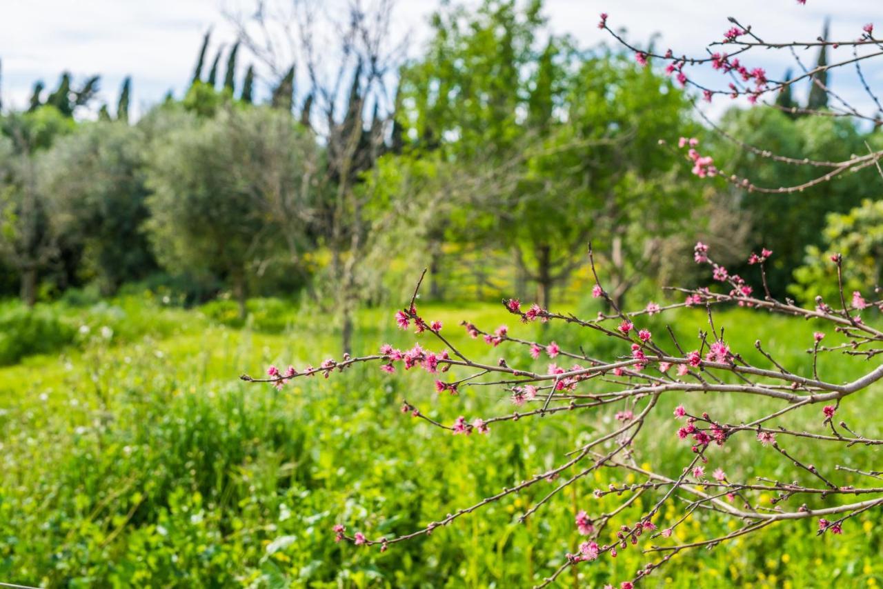 Traumhafte Finca Son Senyor - Mit Pferdekoppel Villa Sa Pobla Buitenkant foto